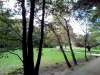 IMG_20191105_154851-1000